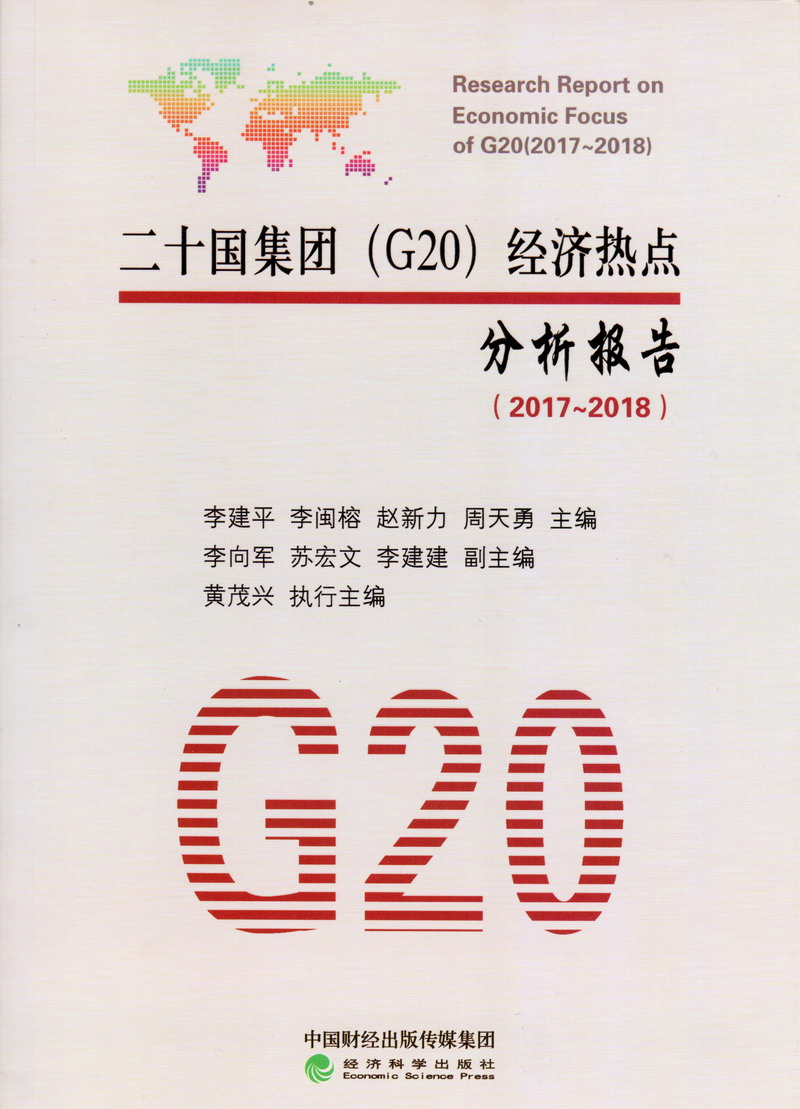 用力操我逼二十国集团（G20）经济热点分析报告（2017-2018）