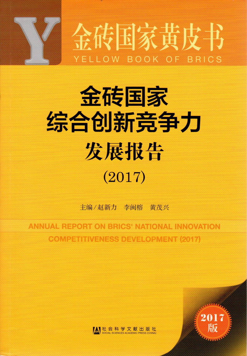 擦逼肏大鸡巴精品导航金砖国家综合创新竞争力发展报告（2017）